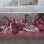 دستگیری ۲شکارچی غیر مجاز وکشف دولاشه آهو در مرز درگز