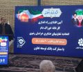عشایر خراسان رضوی پیشگام در تغذیه علمی دام سبک