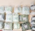 کشف مواد مخدر افیونی با اشرافیت اطلاعاتی مرزبانان هنگ مرزی تایباد
